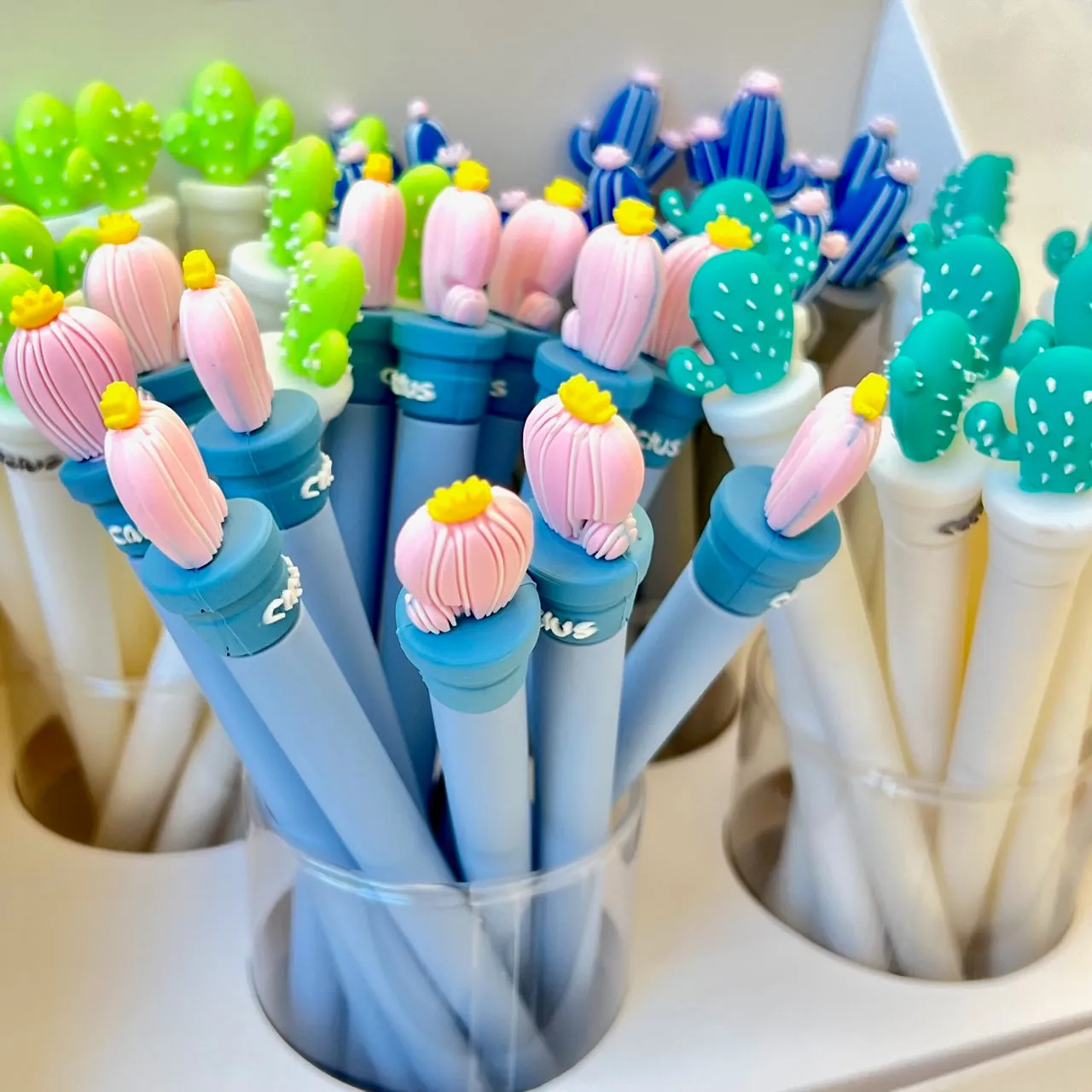 22543 CACTUS GARDEN GEL PEN-48