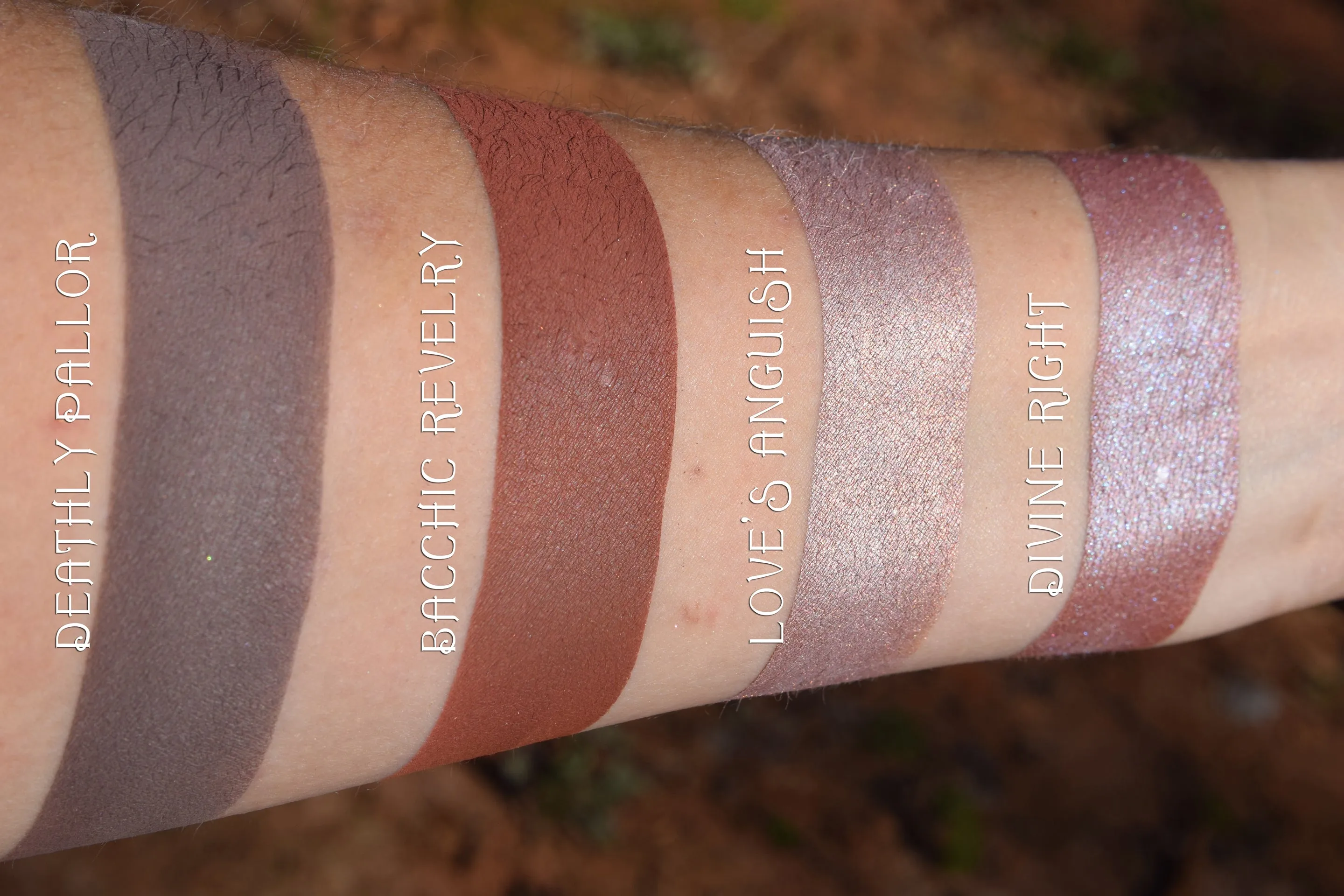 DIVINE RIGHT - Highlighter
